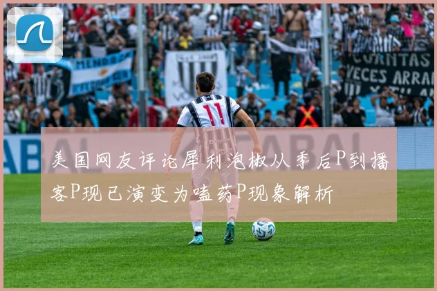 美国网友评论犀利泡椒从季后P到播客P现已演变为嗑药P现象解析