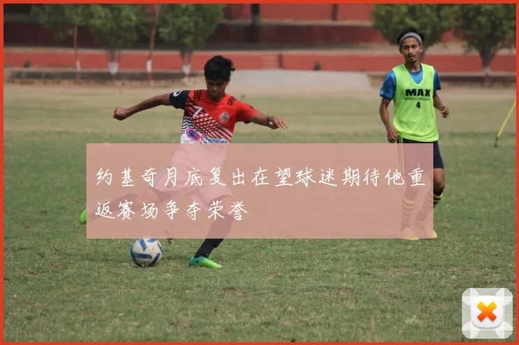 约基奇月底复出在望球迷期待他重返赛场争夺荣誉