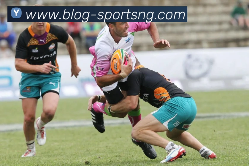 南宫体育平台生态图